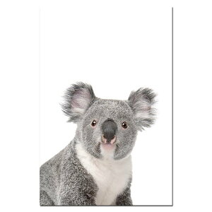 A2 A3 t[t A[gpl A[g|X^[ V[Y RA fUCNO-1