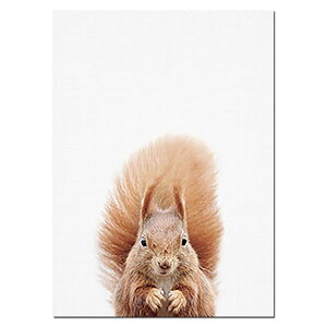 A[g|X^[ t[tEA[gplzt V[Y X fUCNO-8