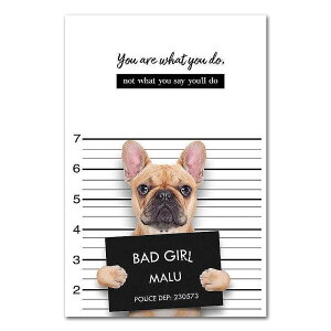 A[g|X^[ t[tEA[gplzt V[Y fUCNO-A A4 A3 A2