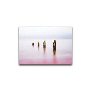 A[g|X^[ t[t A[gpl G  G r[`V[Y fUCNO-4