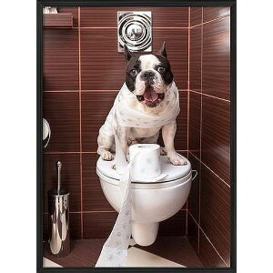 A[g|X^[ t[t A[gpl G  G gCA[gV[Y fUCNO-11