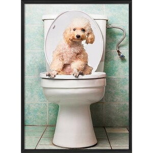 A[g|X^[ t[t A[gpl G  G gCA[gV[Y fUCNO-15