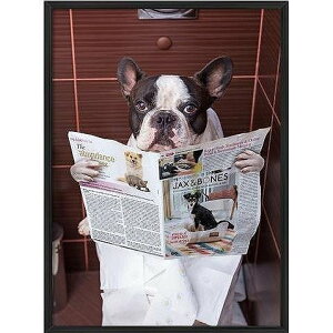 A[g|X^[ t[t A[gpl G  G gCA[gV[Y fUCNO-2