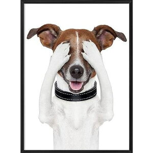 A[g|X^[ t[t A[gpl G  G gCA[gV[Y fUCNO-6