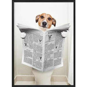 A[g|X^[ t[t A[gpl G  G gCA[gV[Y fUCNO-8