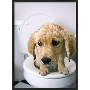 A[g|X^[ t[t A[gpl G  G gCA[gV[Y fUCNO-9