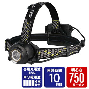 �W�F���g�X �w�b�h���C�g �w�b�h�E�H�[�Y 750���[���� HW-G634H�@���ɑq��