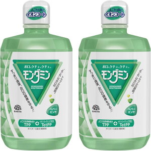 2�{�Z�b�g �����_�~�� �y�p�[�~���g �}�E�X�E�H�b�V�� ����t 1300mL �����q��