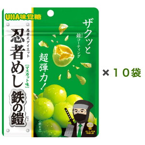 10܃Zbg UHAo E҂߂ S̊Z }XJbg 40g q