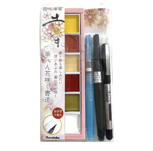 | My ԍ炭 ʃLbg K̏ FHS191-1@_ސq