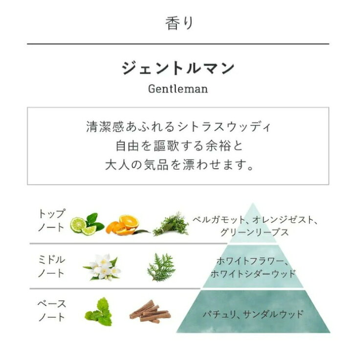 楽天市場】サボン ジェントルマン ボディスクラブL 600g SABON 東京西 