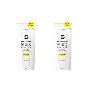 X^COCt  ێ̓XLPAn Jo[^Cv 30g×2