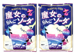 2܃Zbg@̂񂲃\[_@1(17.4g)@_ސq