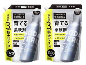 2܃Zbg@\_e{@@߂p13{(1320mL)@_ސq