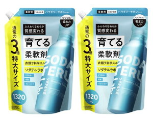 2܃Zbg@\_e{@pE_[T{@߂p3{1(1320mL)_ސq