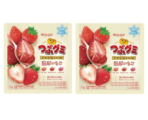 2܃Zbg@Kasugai@ԃO~@v~A@Z@1(75g)@_ސq