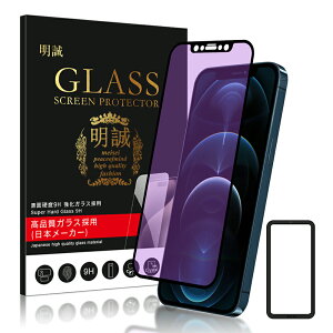 �y2���Z�b�g�ziPhone17/iPhoneAir/iPhone17Pro/iPhone17ProMax �S�ʃK���X�t�B���� �u���[���C�g�J�b�g�d�l iPhone12/13/14/15/16�S�V���[�Y 12 mini SE3 �ی�t�B���� iPhoneSE ��3���� ��2���� iPhone11 iPhone8 7 XR XS SE3 