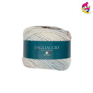 パイアッチョ スキー毛糸 超極太 段染糸 毛糸 おすすめ 秋冬毛糸 輸入糸 パイアッチョ 353009