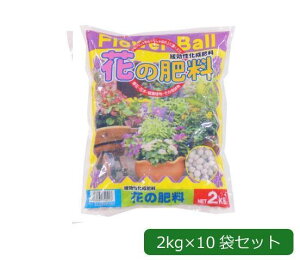 | t[{[(Ԃ̔엿) 2kg×10 1720211