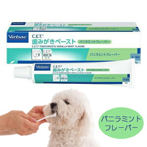 robNEWp@C.E.T. ݂y[Xg ioj~gt[o[j