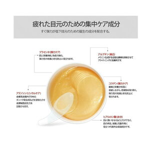 [Berrisom/ベリサム]PlacentaFirmingHydroGelEyePatch/プラセンタファーミングハイドロジェルアイパッチ(60枚)SkinGarden/スキンガーデン