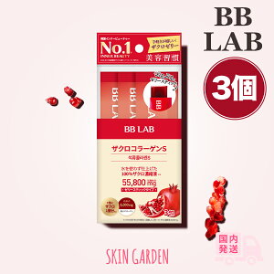 BB LAB rr{ 3yKiX zUNR[QS ᕪqR[Q ؍Ci[r[eB[  e Tv Hi NHi [[Tv ̓ Mtg v[g
