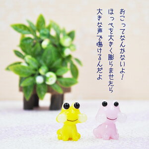 KXG ~j`A CeA JG J^  u  N glass ق j؂   KX׍H