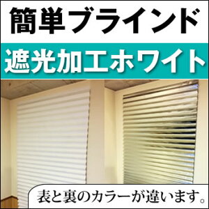 yՌH^zCgzȒPIuCh 90cm×iő230cmjV[œ\邾ŐݒůԎd؂ gݒuOK ς_ȒPI 悯 ԓ @΍ JtF Ռ@UV