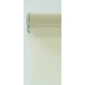 iF60cm×F180cmjX[XN[@̌ihj؃rXi؃lWpj [J[e