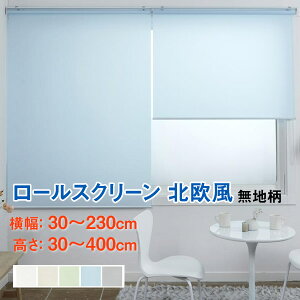 ���[���X�N���[�� �k���� ���n Tide�b1cm�P�� �I�[�_�[���C�h�b��30-230cm×����30-400cm�b���[���J�[�e�� �u���C���h