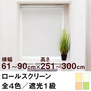 [XN[ SHADE Ռ1iՌ99.99ȏ^SՌj y61`90cm ×@251`300cmz I[_[ Ch @H