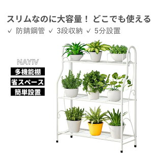 yő2000~OFFN[|zzzNAYIV t[X^h K[fjO I  O ACA 3ZNV V܂ oRj[ xbh[ oX[ 71.5×24.5×83cm gݗĂȒP 