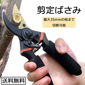 yzInnovista |nT~  Ԑ؂oT~ ΂ |p ԓ ԓ nT~ x| }؂΂ A~jE s