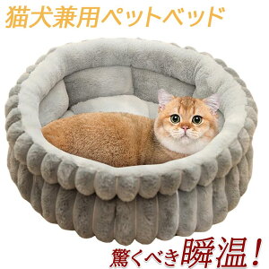 yő2000~OFFN[|zzzg L xbh ~p ӂӂ  xbh ~ ^ 􂦂 ybgxbh ~  RۖhLh_j M Ódh~ pxbh Lpxbh xbhH~p 