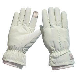 yX[p[Z[~500~OFFzAissiora h  fB[X X}zΉ y XL[ O[u Xm[{[h oR TCNO WMO AEghA h ۉ  ʋC ~ ~ H~ 