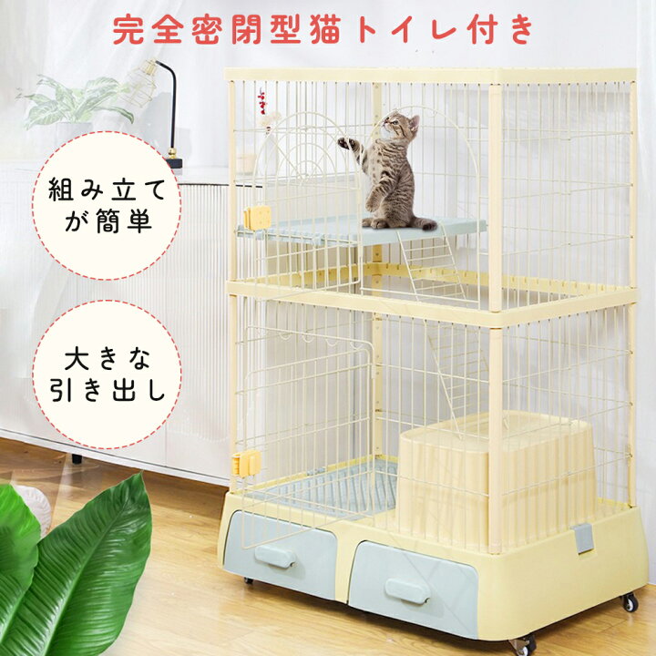 楽天市場】【最大3000円OFFクーポン配布中】2024年新品登場 猫  