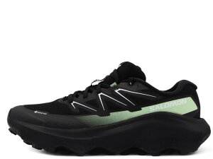 SALOMON ULTRA FLOW 2 GORE-TEX BLACK/BLACK/PATINA GREEN L47981400T Eg t[ 2 SAebNX ubN/ubN/peB[iO[