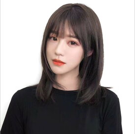 ネット 付き セミロング ウィッグ 黒髮 ストレート 耐熱