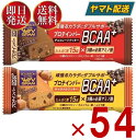 ブルボン プロテインバー BCAA+ 2種 アソート セット チョコレート クッキー キャラメル クッキー プロテイン タンパ…