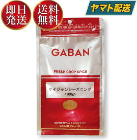 GABAN ギャバン スパイス ケイジャンシーズニング 100g ミックススパイス ハウス食品 香辛料 パウダー 業務用
