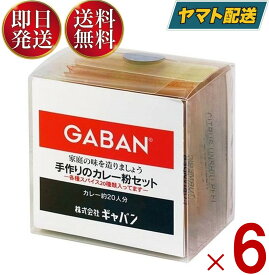 GABAN ギャバン 手作りカレー粉 スパイス 手作りのカレー粉セット 100g 6個 カレーペースト 食塩無添加 カレーライス 香辛料 調味料 減塩 塩分控えめ