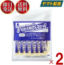 宮島醤油 ひとくちシチュー 30g×10本 小袋 スティック 簡単 携帯 軽食 間食 夜食 即席 レトルト 2個