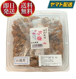 【5日限定！抽選で最大全額ポイントバック】 竹内農園 特別栽培 小梅干 お得用 1kg 紀州産 梅干し うめぼし ウメボシ 無添加 家庭用