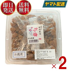 【5日限定！抽選で最大全額ポイントバック】 竹内農園 特別栽培 小梅干 お得用 1kg 紀州産 梅干し うめぼし ウメボシ 無添加 家庭用2個