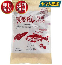 無添加 天然だしパック マエカワ テイスト 特撰 国産 出汁パック だし 250g （10g×25P）