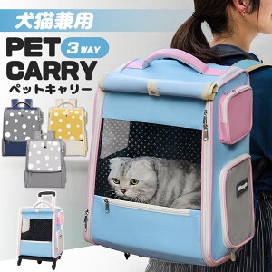 y撅500~OFFN[|IzybgL[ bN ybgL[obO LX^[t bV Lp ܂肽 y CJo[ ʋC ډBJo[ ԗ֕t L 3WAY 