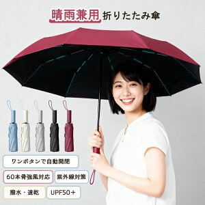 P ܂肽 SՌ `L JP y ܂肽ݎP ^b` J e 60{ ՔM  Jp Ռ UVJbg  [₷ H ɋ RpNg