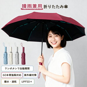 P ܂肽 SՌ `L JP y ܂肽ݎP ^b` J e 60{ ՔM  Jp Ռ UVJbg  [₷ H ɋ RpNg