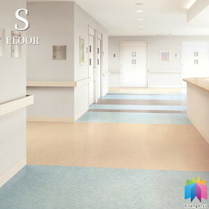 �T���Q�c ���ڃV�[�g ���A���w�r�j�����V�[�g HS/SK�t���A 182cm�� 2.8mm�� �v���[�� SK-24447 SK-24448 SK-24449 SK-24450 SK-24451 SK-24452 SK-24453 SK-24454 SK-24455 SK-24456 �m1m�ȏ�10cm�P�� �ؔ���n