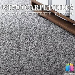�T���Q�c �^�C���J�[�y�b�g NT700 �T���Q�c NTP-7110 D-eco �~�b�N�X�v���[�� D ����6.5mm 50×50 cm NTP-71101 NTP-71102 NTP-71105 NTP-71106 NTP-71107 NTP-71108 NTP-71109 NTP-71112 NTP-71114 NTP-71117